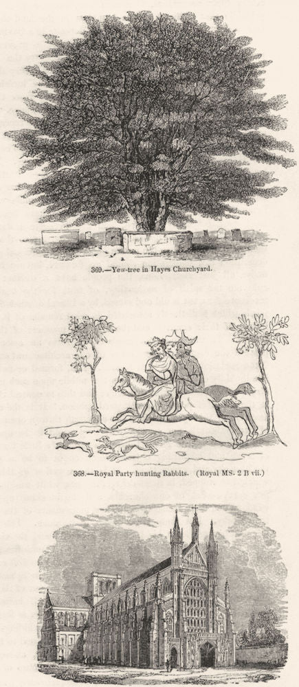 #. Yew-tree, Hayes Church; King hunting; Winchester 1845 old antique print